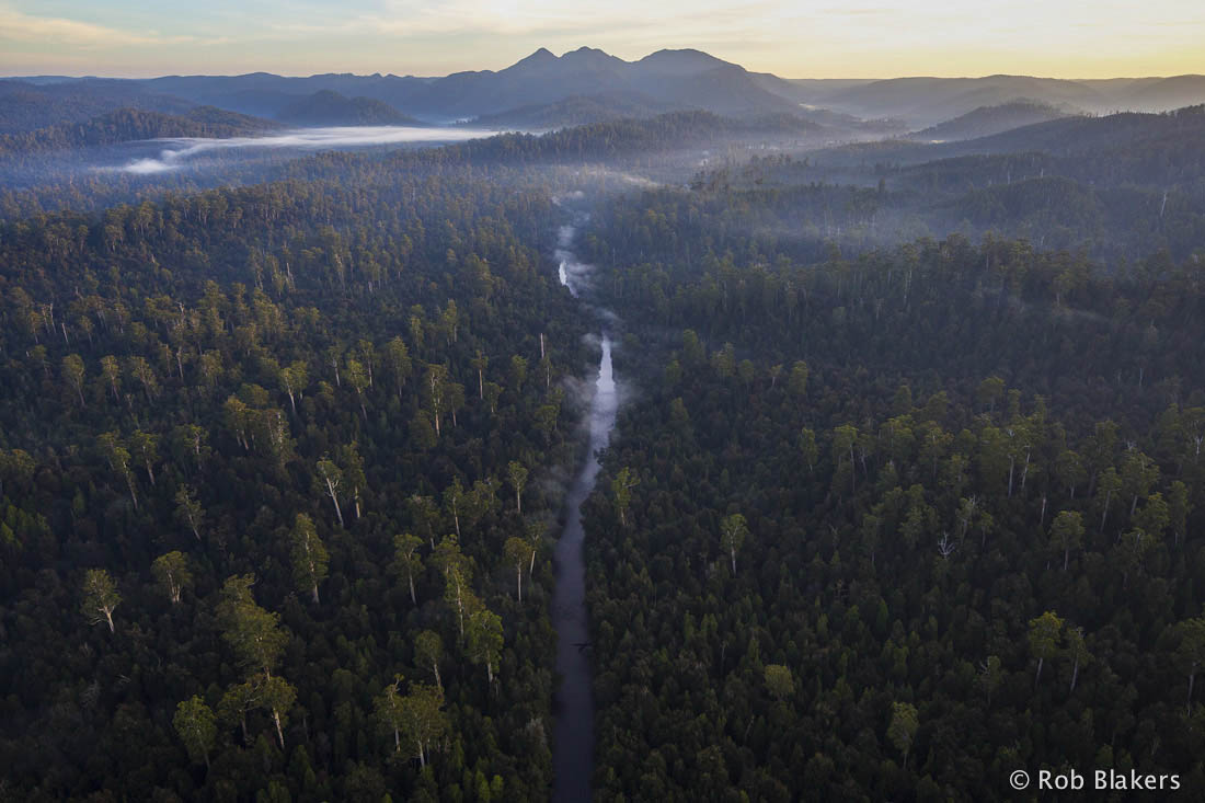 photograph of Huskisson wilderness 4